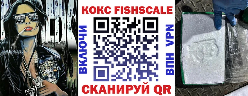 сколько стоит  Каменск-Шахтинский  Кокаин FishScale 