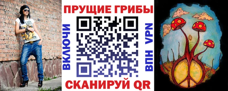 Псилоцибиновые грибы Psilocybe  нарко площадка как зайти  Каменск-Шахтинский 